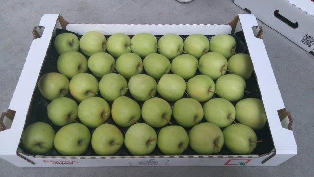 Prima 2000 äpplen-päron-plommon frukt grönsaker 15